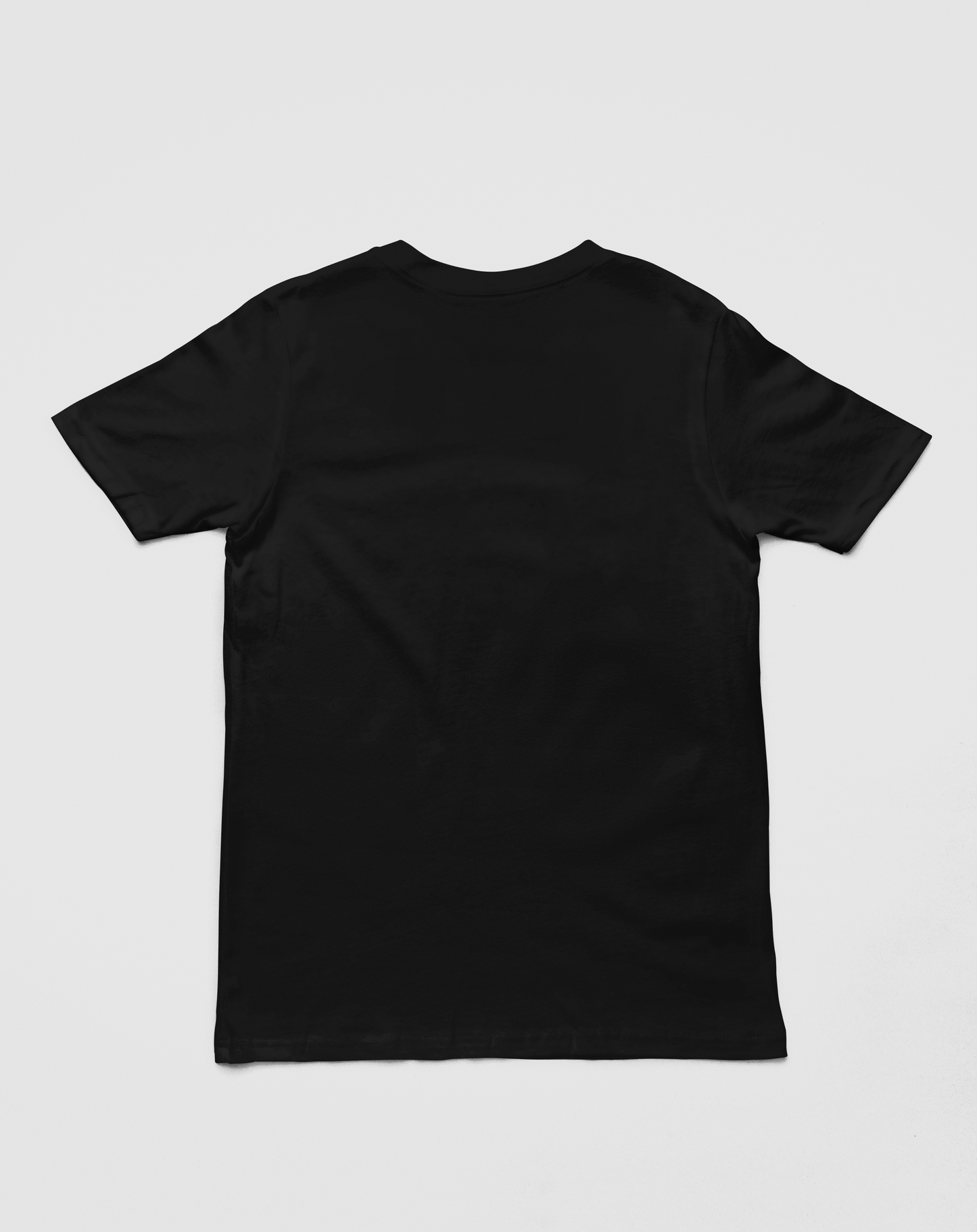 RAVANA T SHIRT (Design - 2)